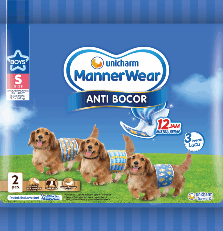 Manner Wear Boy S 2