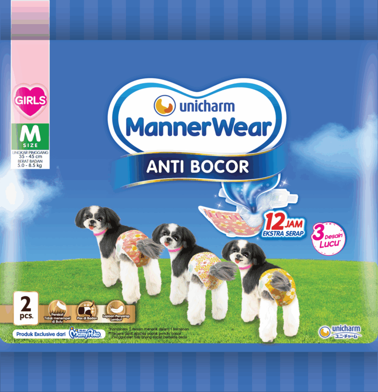 Manner Wear Girl M 2