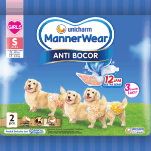 Manner Wear Girl S 2