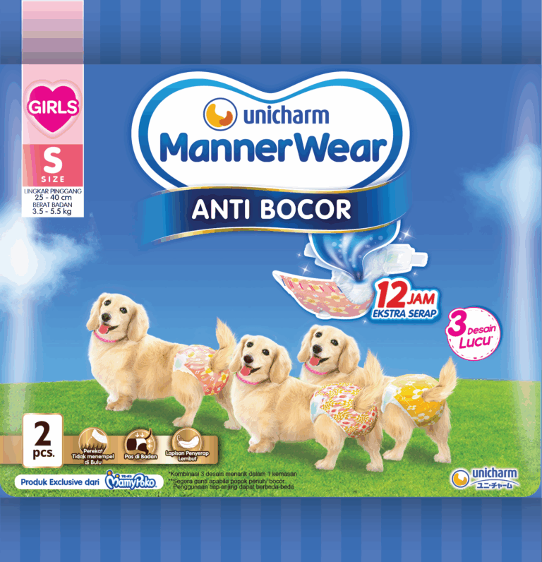 Manner Wear Girl S 2