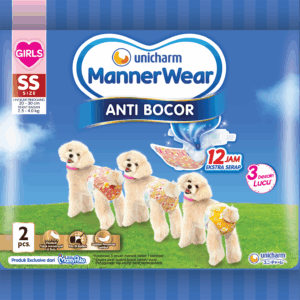 Manner Wear Girl SS 2