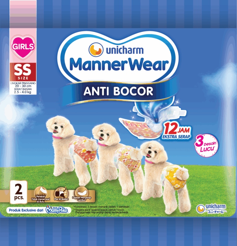 Manner Wear Girl SS 2