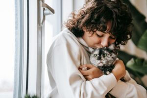 Panduan dan Tips Cara Adopsi Kucing