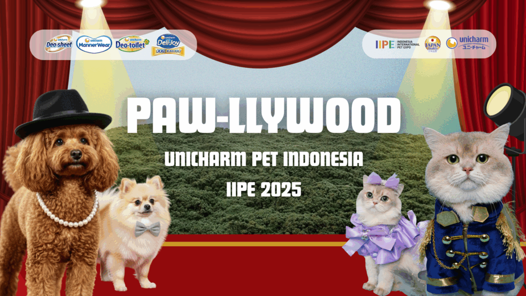 Paw-llywood IIPE 2025